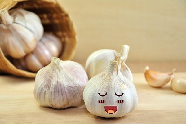 10 بهترین خواص سیر برای سلامتی و زیبایی