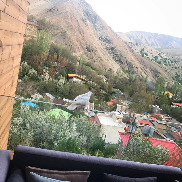 بیوگرافی محمد علیزاده و همسرش + زندگی هنری و  عکس های محمد علیزاده