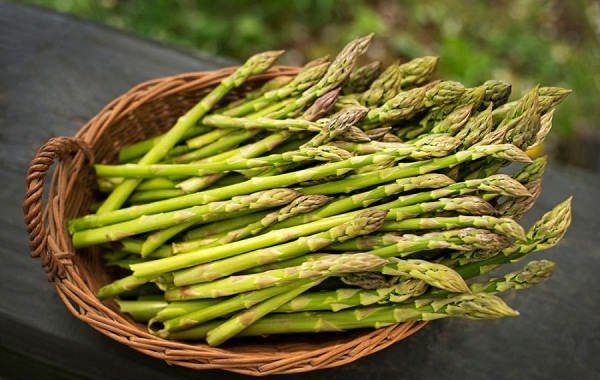 بهترین خواص مارچوبه برای سلامتی + نحوه مصرف و عوارض جانبی