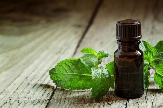 راه هایی برای درمان سریع تبخال لب + راه های پیشگیری و علل بروز تبخال