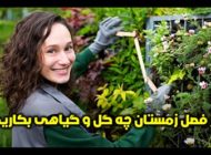 در فصل زمستان چه گل و گیاهی بکاریم و چگونه از آن مراقبت کنیم؟