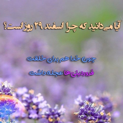 عکس پروفایل فروردینی ام | عکس ها و متن های جدید فروردین ماهی