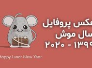 عکس پروفایل سال موش 1399 + شخصیت شناسی متولدین سال موش