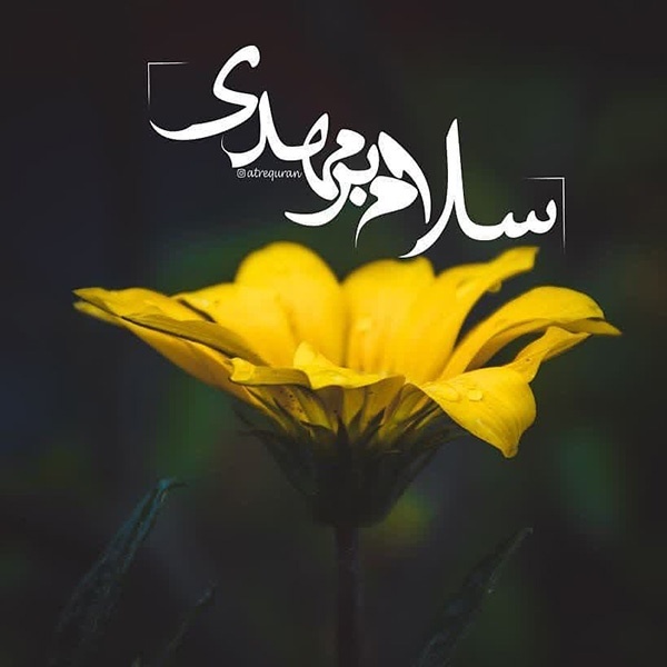 عکس پروفایل تبریک نیمه شعبان + متن های زیبا در مورد امام زمان (عج)