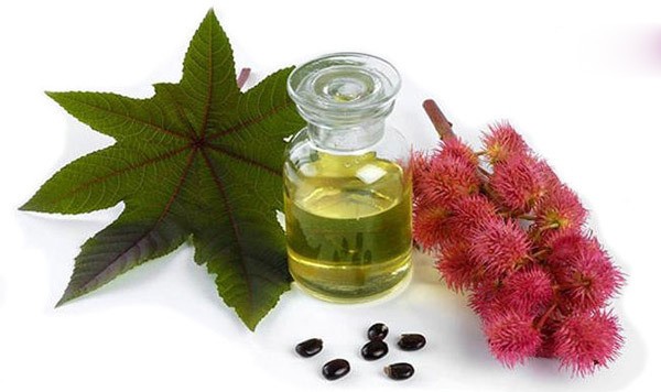 10 راهکار خانگی برای پرپشت شدن موی سر (روش های آسان و کاربردی)