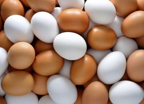 با خوردن این خوراکی ها چاق نمی شوید! 
