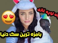 با بامزه ترین سگ دنیا آشنا شوید! Penelope The Goose