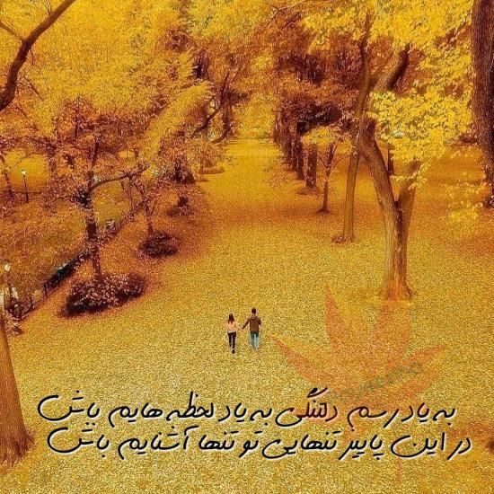 عکس پروفایل آبان ماهی 1401 + متن ها و اشعار زیبا برای متولدین آبان ماه