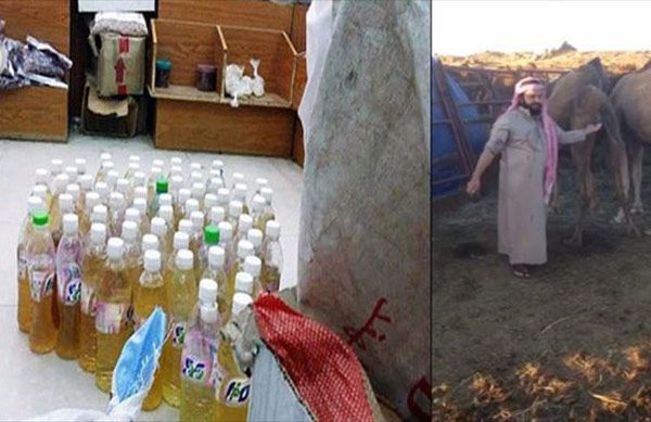 کافه ادرار شتر در عربستان سعودی (حواشی و واکنش ها)