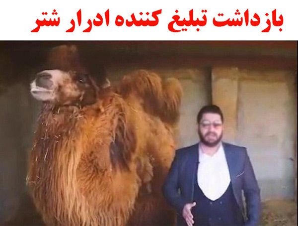 کافه ادرار شتر در عربستان سعودی (حواشی و واکنش ها)