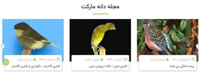 بهترین انتخاب برای تغذیه ی مناسب برای پرورش قناری چیست ؟