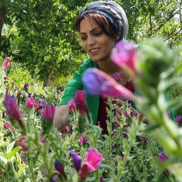 بیوگرافی تمام بازیگران سریال کلبه ای در مه + عکس های بازیگران سریال کلبه ای در مه