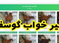 تعبیر خواب گوسفند | دیدن گوسفند در خواب چه معنایی دارد؟