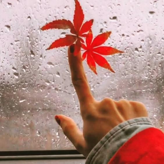 عکس پاییزی جدید برای پروفایل با متن و بدون متن بسیار خاص