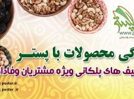 پسته اکبری . پسته رفسنجان . خرید پسته  پسته اکبری، با ظاهری زیبا و شکیل