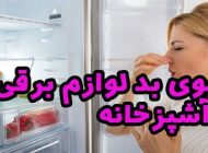ترفندهای جالب برای از بین بردن بوی بد لوازم برقی آشپزخانه