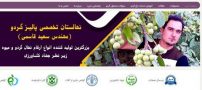 راهکارهای مطمئن در خرید نهال گردو