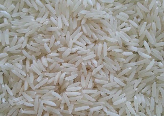 فروش محصولات باکیفیت در عمده فروشی برنج ایرانی
