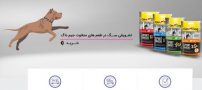 آموزش استفاده از جعبه به سگ