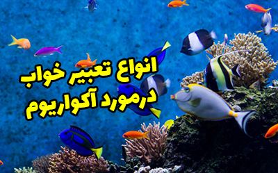 11 تعبیر خواب آکواریوم | دیدن خواب آکواریوم چه معنایی دارد؟