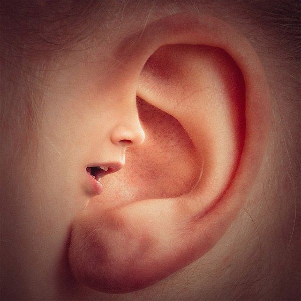11 تعبیر خواب در گوشی حرف زدن و پچ پچ کردن