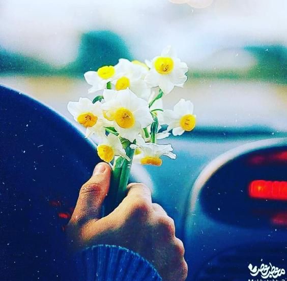 عکس ولادت امام رضا (ع) با کیفیت بالا + متن های زیبا و جدید