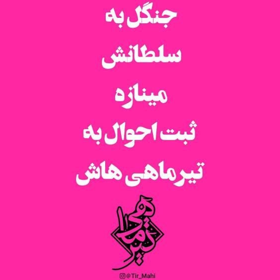 تبریک تولد تیر ماهی ها متن های خاص و جدید برای استوری و پروفایل