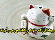 حیواناتی که خوش شانسی می آورند!