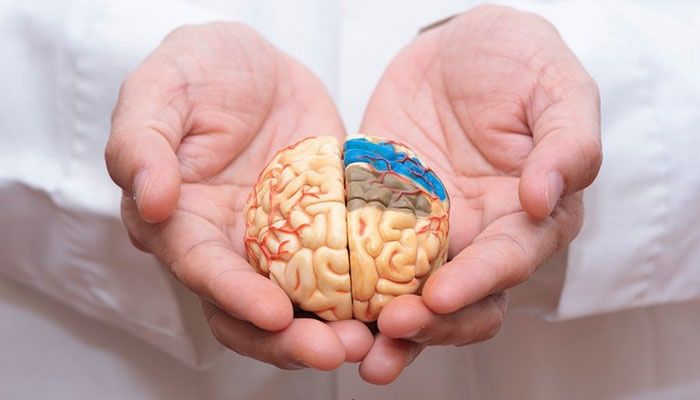 برای تقویت حافظه و پیشگیری از آلزایمر ارده کنجد بخورید!