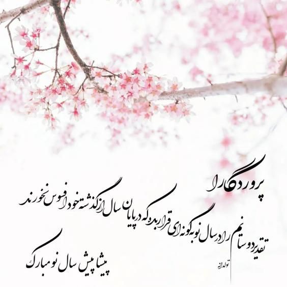 گالری عکس و متن عید نوروز 1402 زیباترین عکس های عید نوروز برای پروفایل