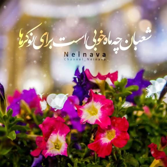عکس تبریک نیمه شعبان 1402 + متن های زیبا و جدید نیمه شعبان ۱۴۰۲