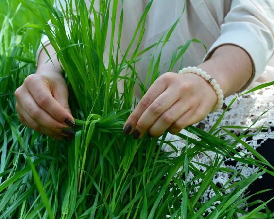 30 عکس نوشته سیزده بدر مبارک 1403 + متن های زیبا و جدید