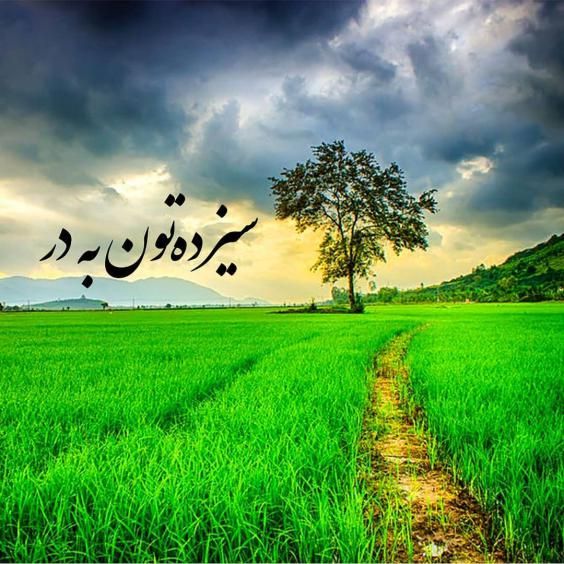 30 عکس نوشته سیزده بدر مبارک 1403 + متن های زیبا و جدید