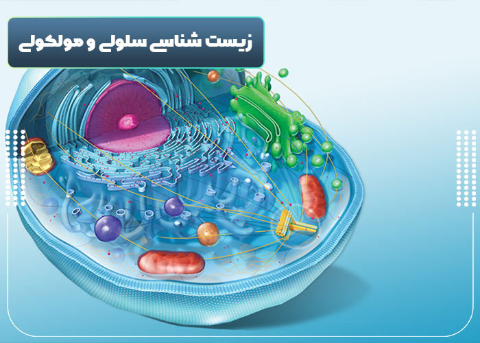 ثبت نام آزاد بدون کنکور مزایای رشته های بدون کنکور تجربی ،زیست شناسی سلولی و مولکلولی