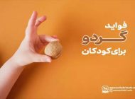 خواص گردو برای کودکان + روش مصرف جذاب برای کودکان