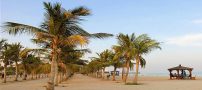 مناسب‌ترین زمان برای سفر به کیش