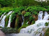 چشمه های اطراف شیراز؛ طبیعت زیبا در کنار شهر باستانی ایران