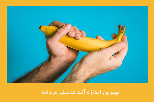 بهترین اندازه آلت تناسلی مردان