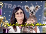مسابقات زشت ترین سگ جهان + عکس