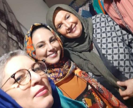 شهین تسلیمی ،بیوگرافی بازیگران سریال چرخ گردون