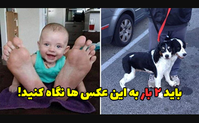 عکس های عجیب و غریب که باید دوبار به آنها نگاه کنید!