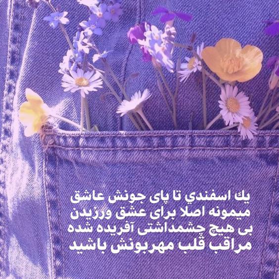 عکس استوری اسفند ماهی ها