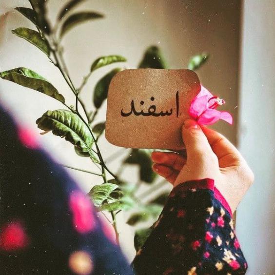 عکس نوشته اسفند ماه نزدیک است
