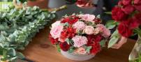 صرفه جویی در وقت و هزینه با ارسال گل آنلاین