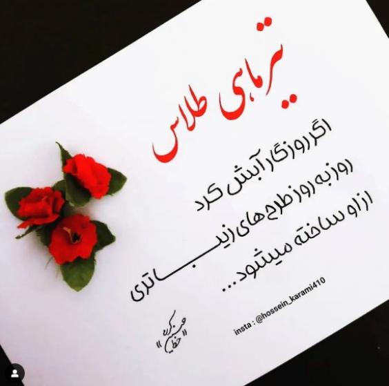 پروفایل تیر ماهی
