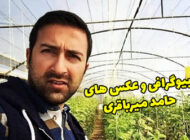 بیوگرافی حامد میرباقری بازیگر سینما و تلویزیون + عکس های حامد میرباقری