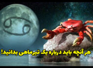 خصوصیات تیر ماهی ها | هر آنچه باید درباره یک تیرماهی بدانید!