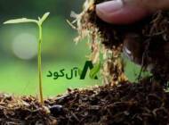 “آل کود” راهی آسان برای خرید انواع کودهای ارگانیک کشاورزی