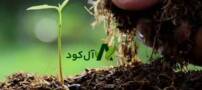 “آل کود” راهی آسان برای خرید انواع کودهای ارگانیک کشاورزی
