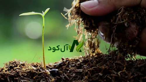 “آل کود” راهی آسان برای خرید انواع کودهای ارگانیک کشاورزی
